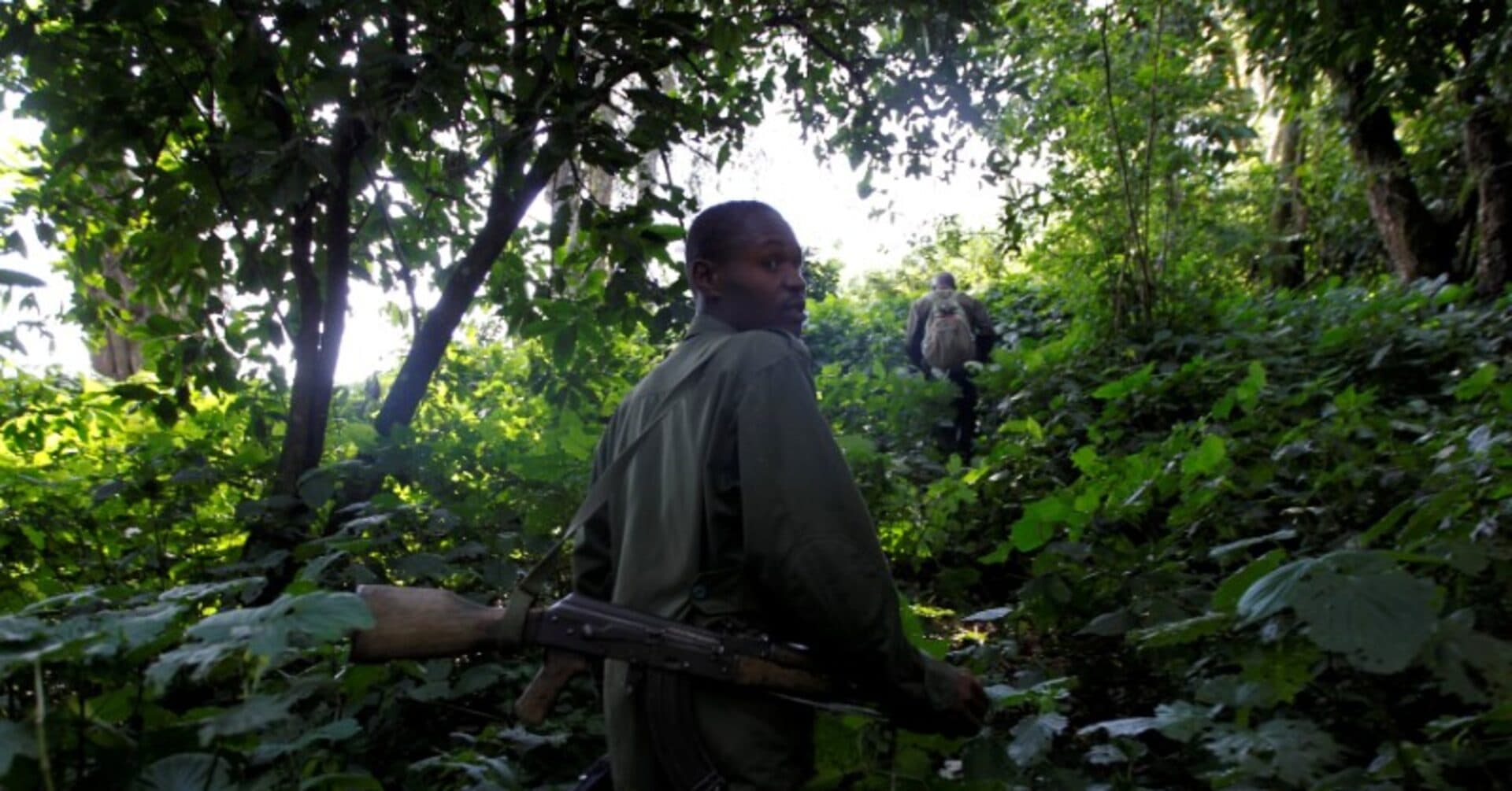 Rangers Try Gaming Technology to Protect African Wildlife